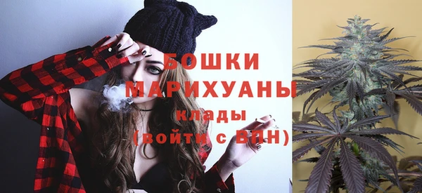 индика Навашино