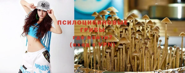 индика Навашино