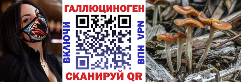 закладка  omg ССЫЛКА  Галлюциногенные грибы прущие грибы  Отрадный 